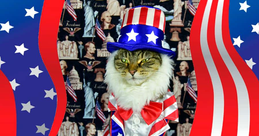 Patriotic Cat Celebrating4thof July Wallpaper