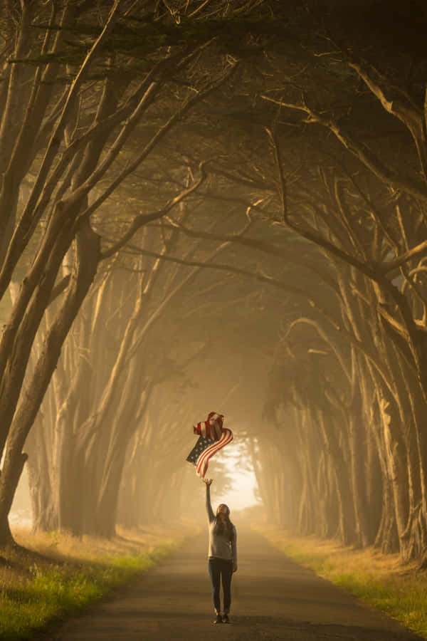 Patriotic Walk Through Misty Trees Wallpaper