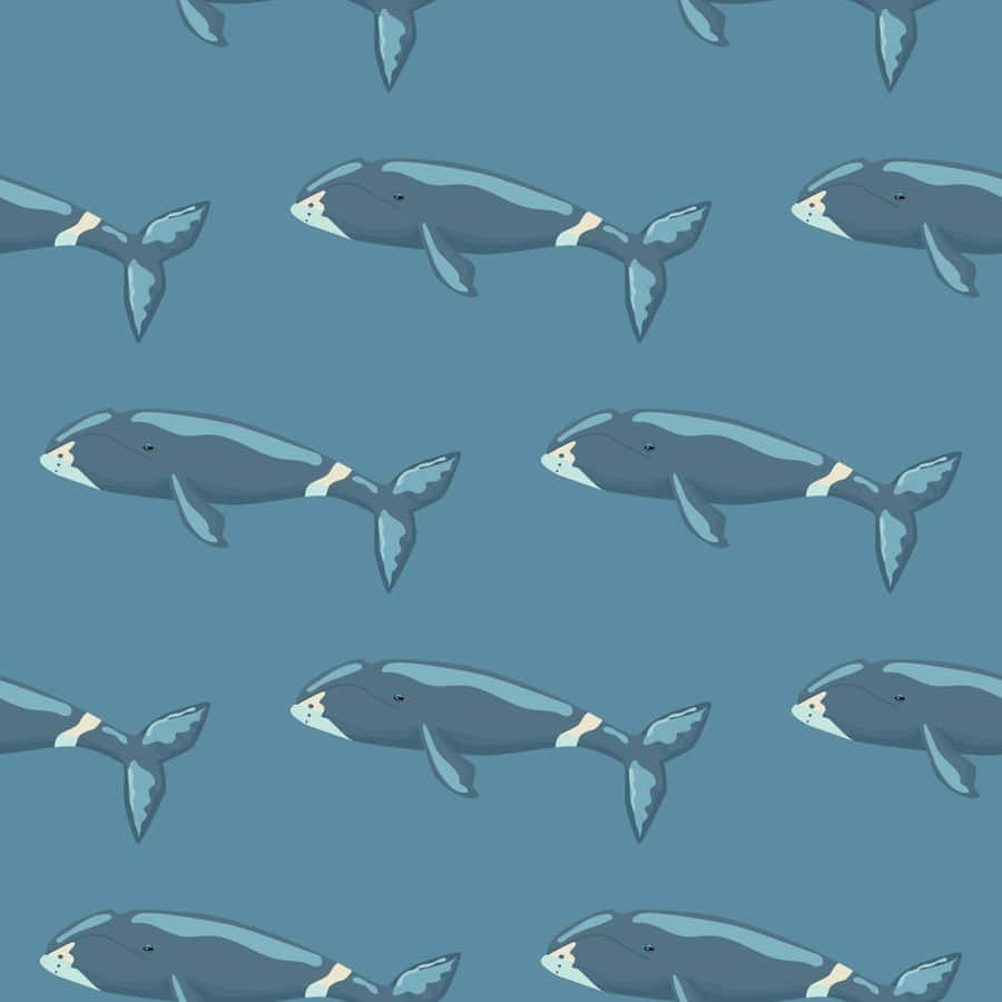 Patterned Bowhead Whales Illustration Wallpaper