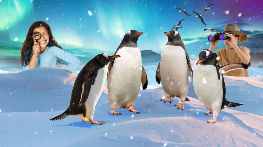 Penguin Encounterwith Explorerand Child Wallpaper