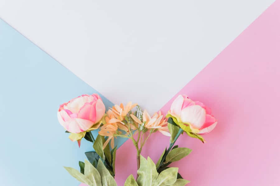 People Riding Motorcycle In The Desert Wallpaper