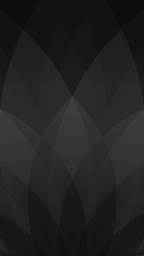 Petals Design Black And Grey Iphone Wallpaper