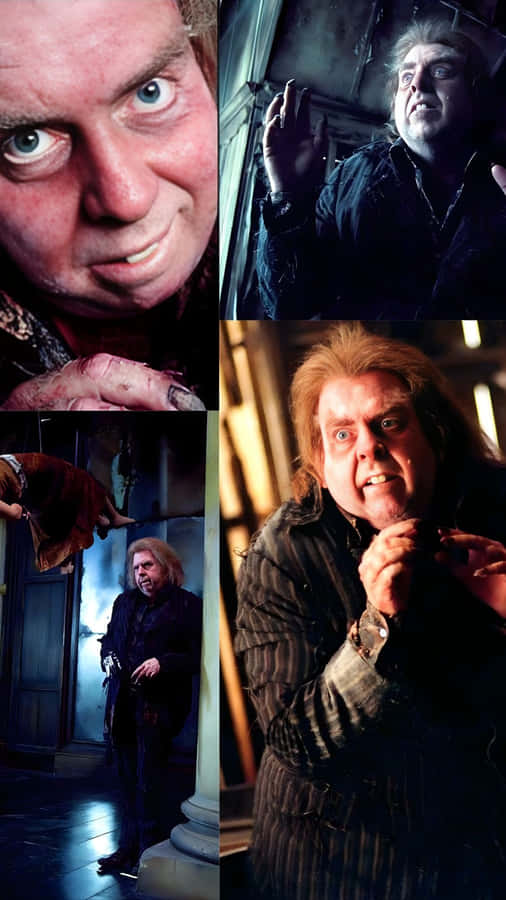 Peter Pettigrew Character Moments Wallpaper