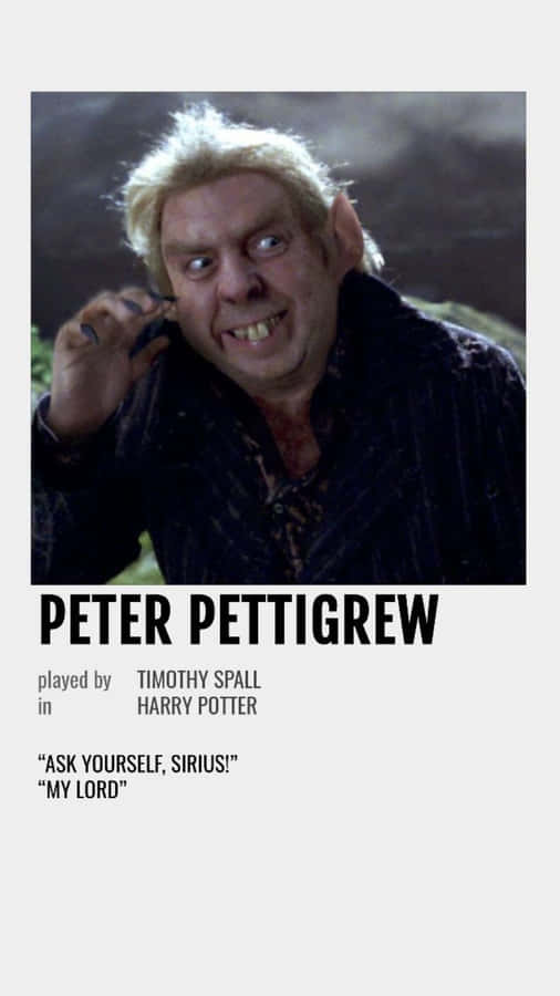 Peter Pettigrew Character Profile Wallpaper