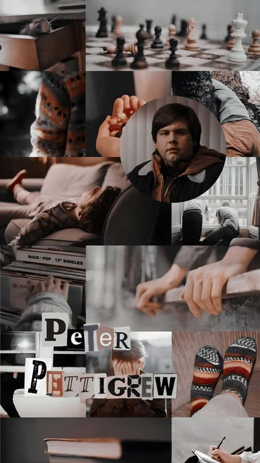 Peter Pettigrew Character Profile Wallpaper