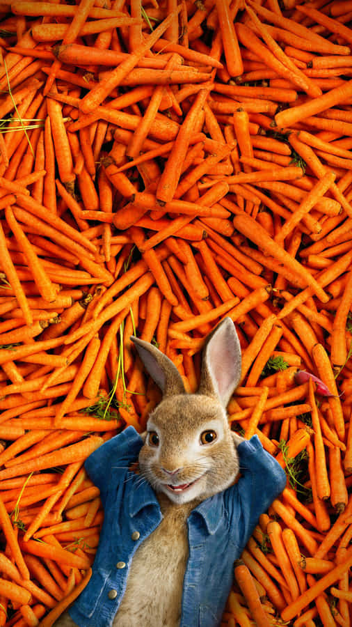 Peter Rabbit Surroundedby Carrots Wallpaper