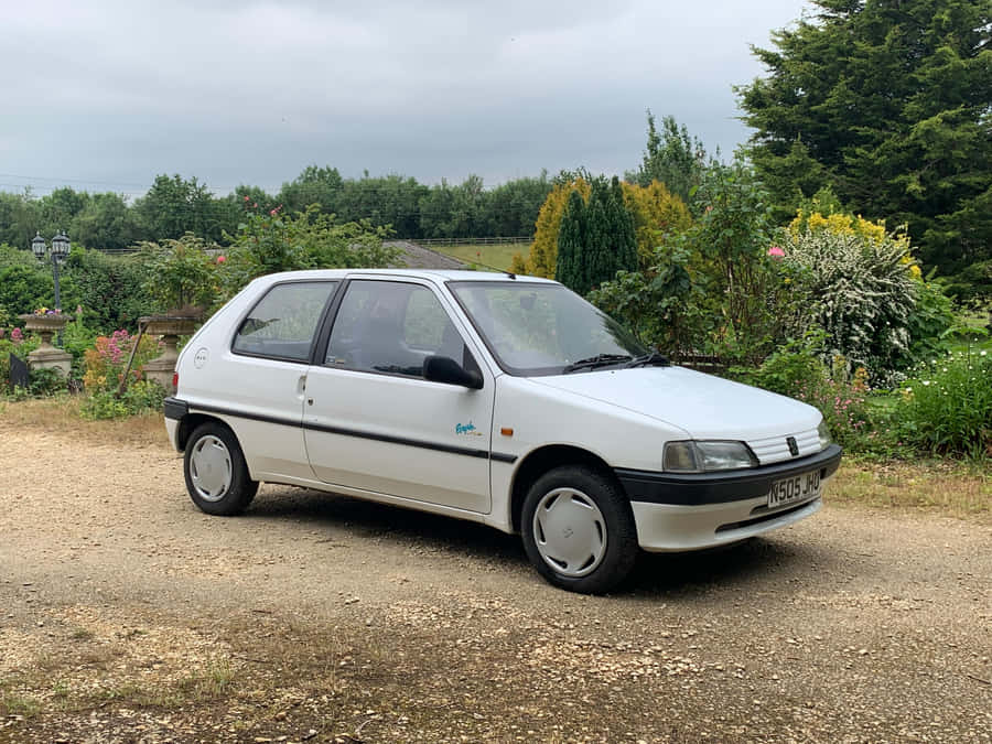 Peugeot106 White Garden Background Wallpaper
