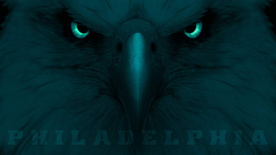 Philadelphia Eagles' Eagle Eye Wallpaper