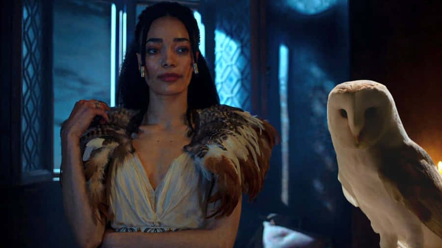 Philippa Eilhart With Owl Wallpaper