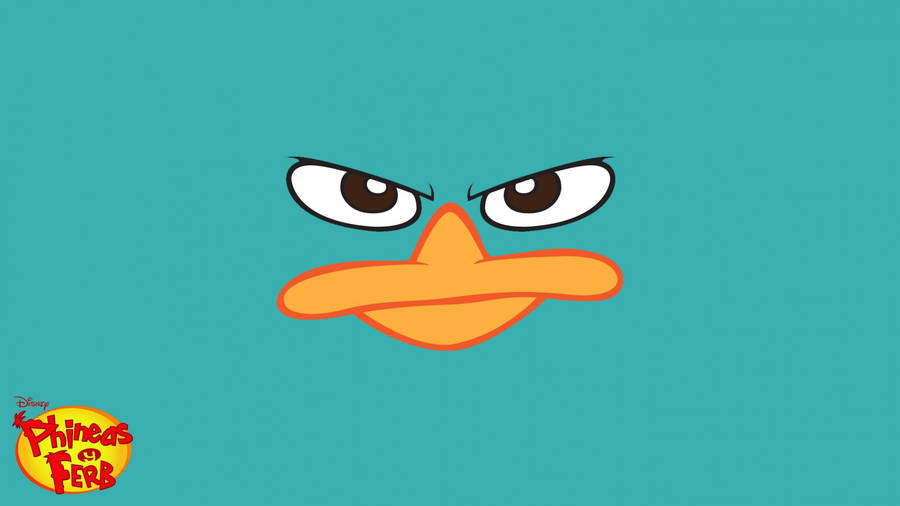Phineas And Ferb Agent Perry Wallpaper