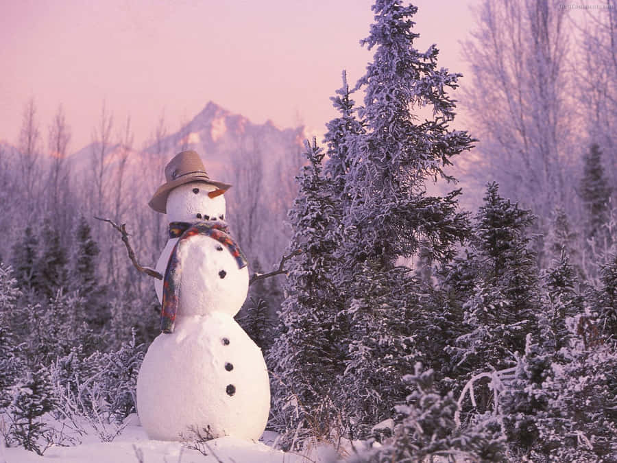 Photography Of Cozy Winter Aesthetic Conifer Forest Snowman Wallpaper