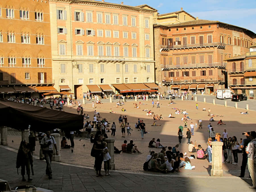 Piazza Del Campo Wallpaper