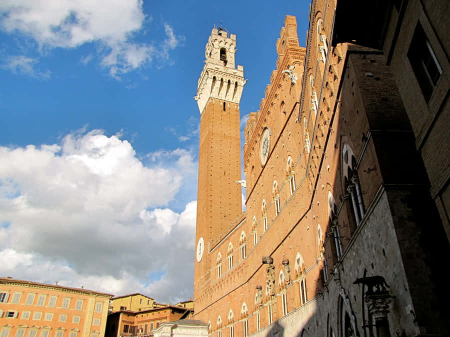 Piazza Del Campo Wallpaper