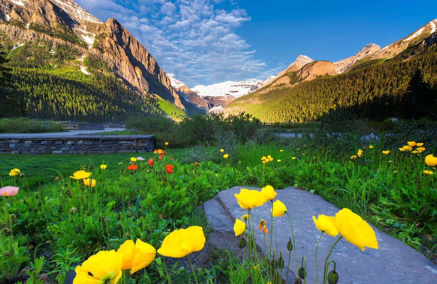 Picturesque Spring Sunrise Wallpaper