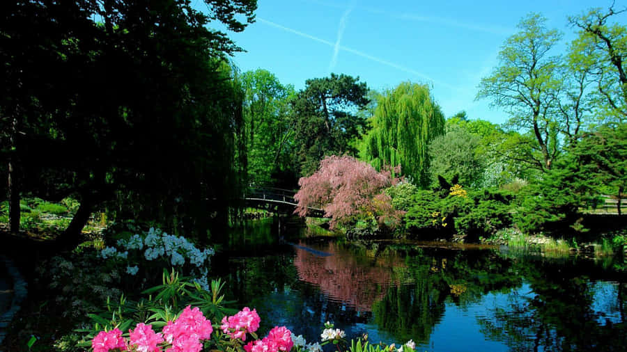 Picturesque Waterfall In The Lush Forest Wallpaper
