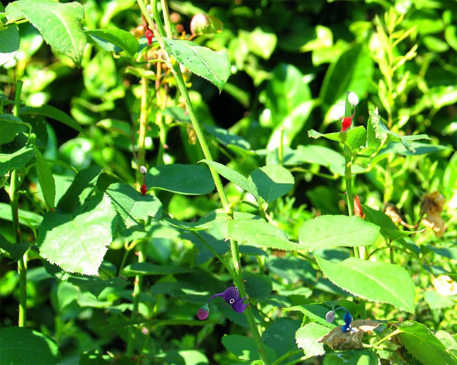 Pikmin In Nature Simulation Wallpaper