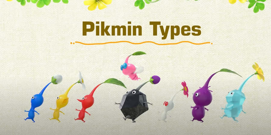 Pikmin Types Illustration Wallpaper