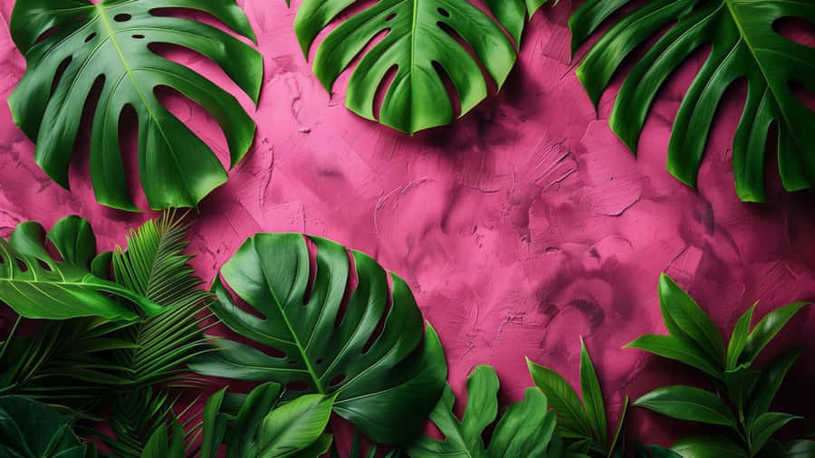 Pink And Green Tropical Contrast Wallpaper