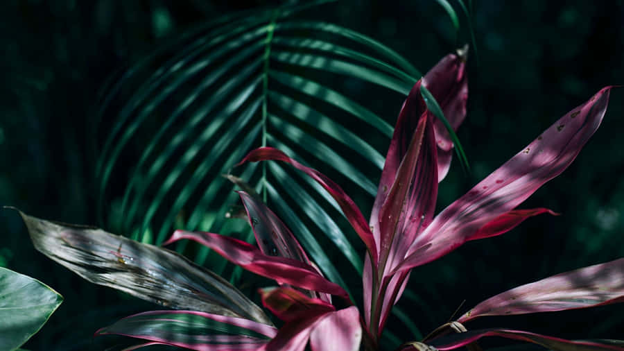 Pink And Green Tropical Leaves Wallpaper