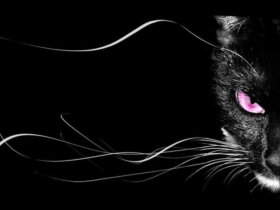 Pink Beasty Cat Eyes Wallpaper