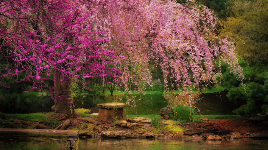 Pink Blossoms And Green Serenity Wallpaper