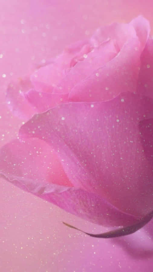 Pink Glitter Rose Closeup Wallpaper