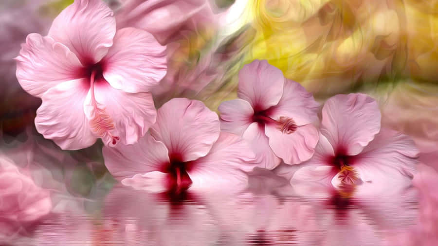 Pink Hibiscus Flowers Wallpaper