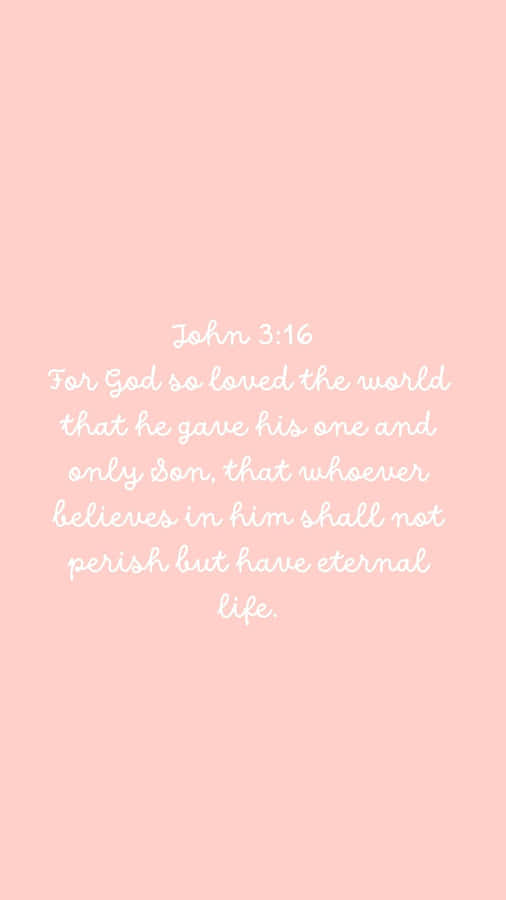 Pink John316 Bible Verse Wallpaper