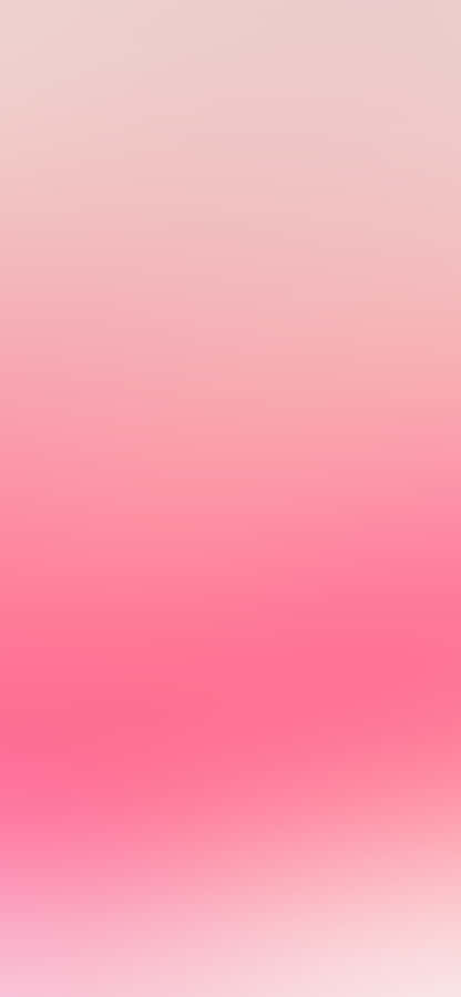 Pink Ombre Gradient Background Wallpaper