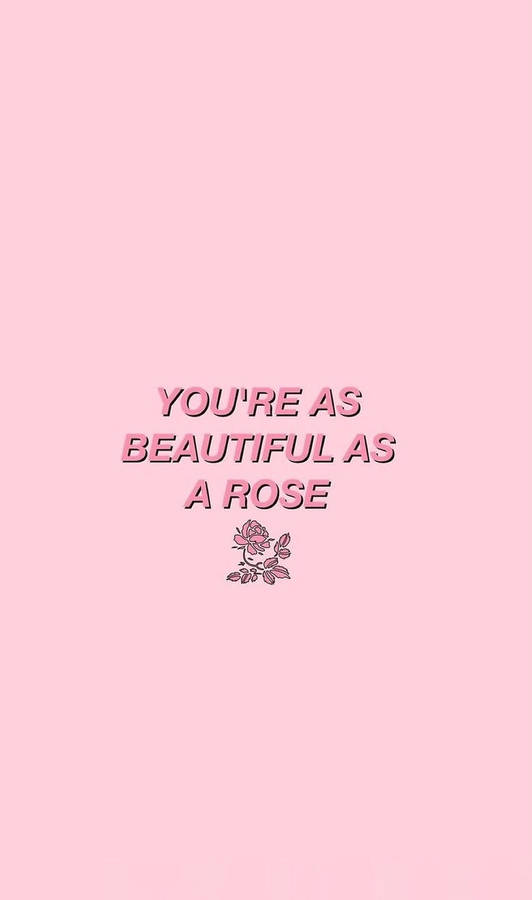 Pink Rose Aesthetic Words Wallpaper