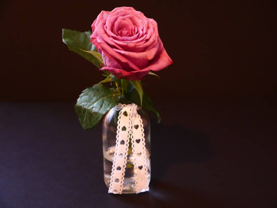 Pink Rose With White Heart Ribbon Wallpaper