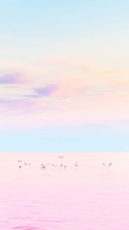 Pink Seagulls Pink And Teal- Wallpaper Wallpaper