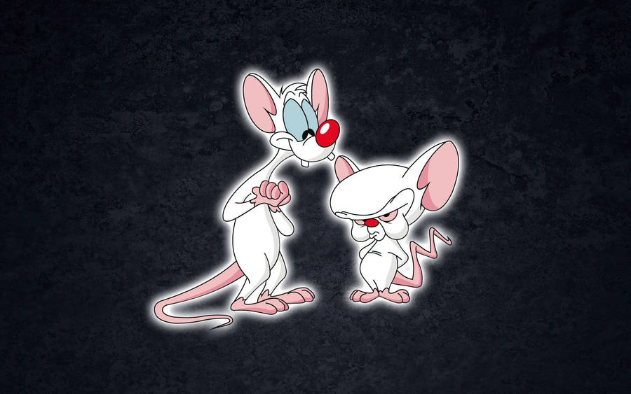 Pinky And The Brain Digital Art Wallpaper