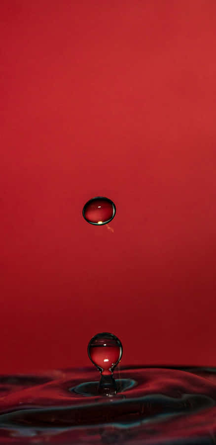 Pixel 3xl Water Drop Macro Wallpaper