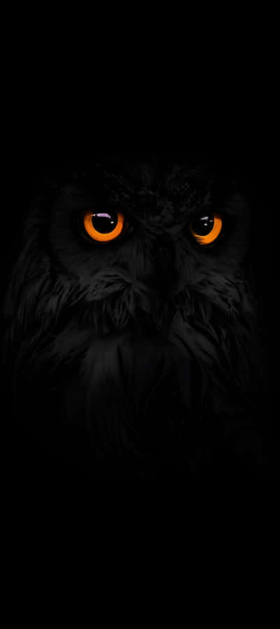 Pixel 9 Dark Mode Wallpaper Wallpaper