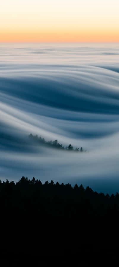 Pixel 9 Stunning Fog Landscape Wallpaper