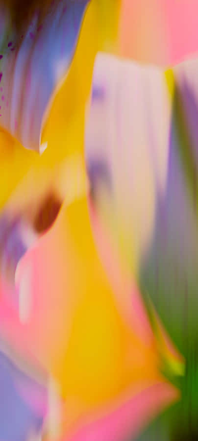 Pixel 9a Vibrant Wallpaper Wallpaper