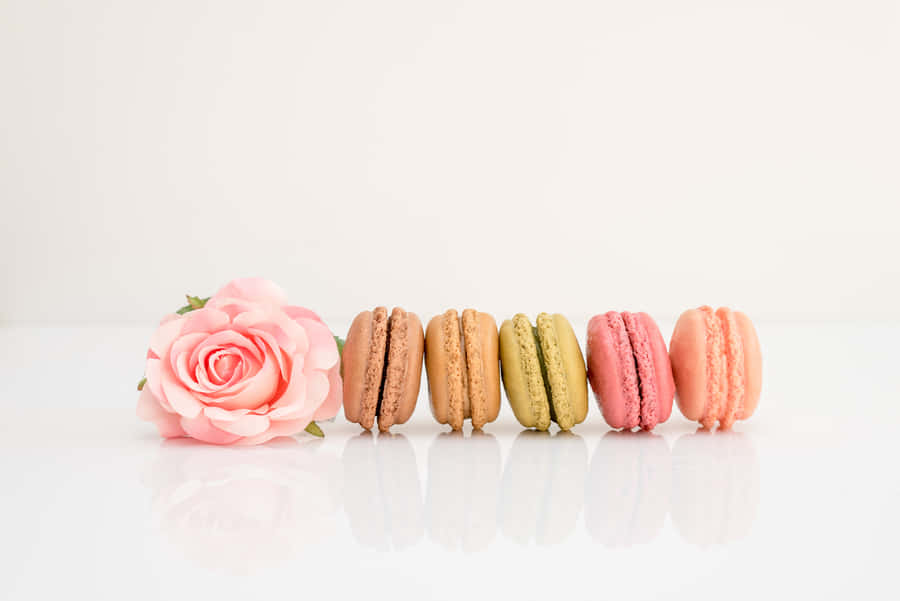 Placed In Line Macaron With Rose Wallpaper