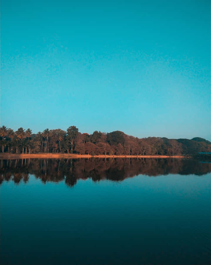 Placid Afternoon In The Lake Wallpaper