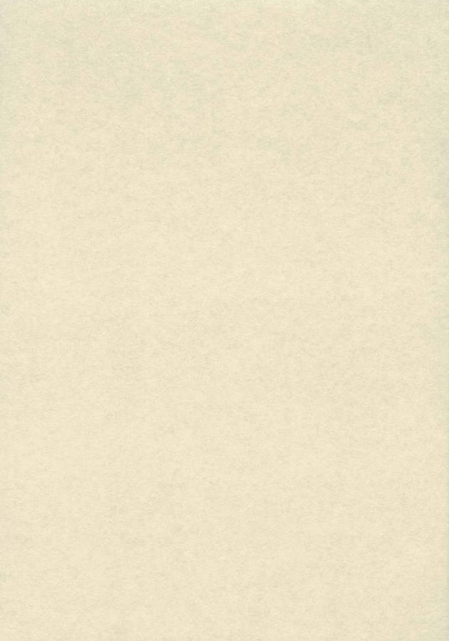 Plain Beige 840 X 1200 Wallpaper