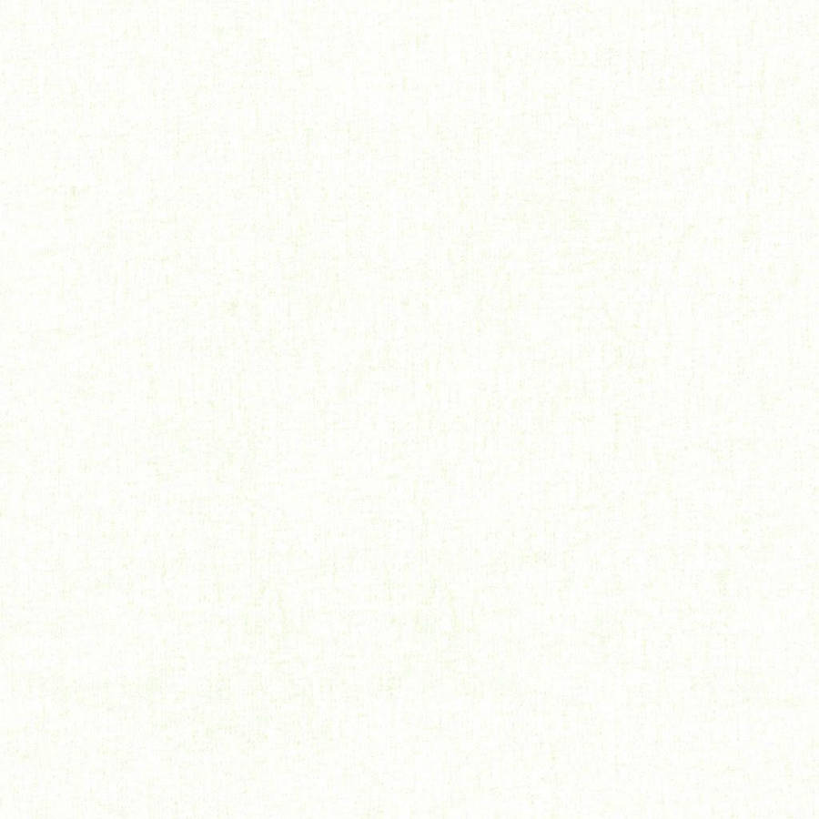 Plain Off White Wallpaper
