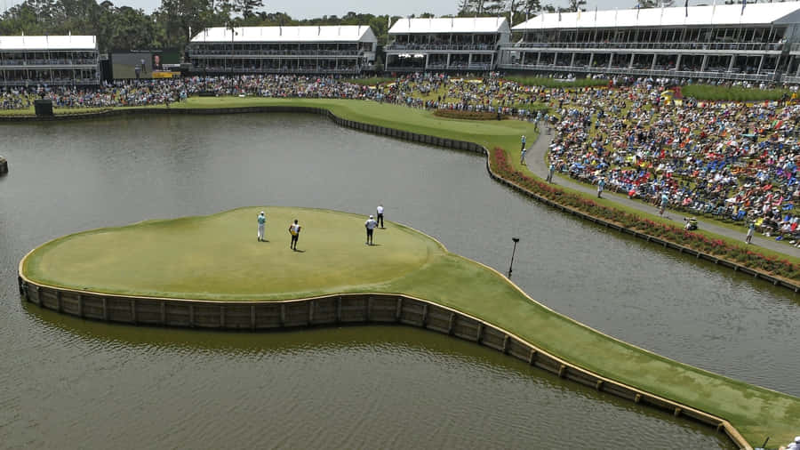 Players Championship Iconic Island Green Wallpaper
