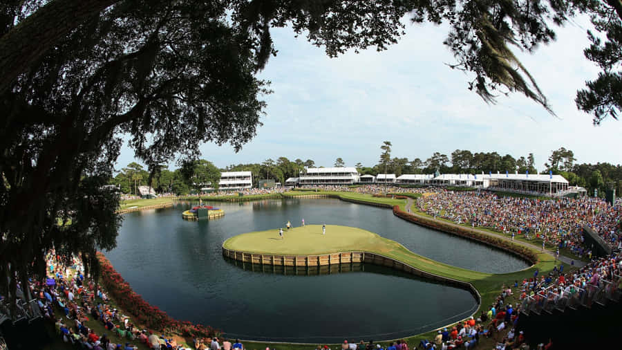 Players Championship Iconic17th Hole Wallpaper