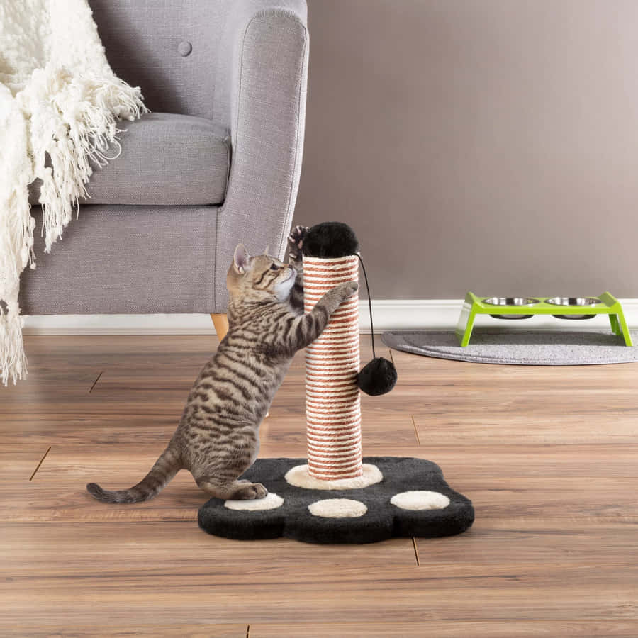 Playful Cat Relishing A Scratching Post Wallpaper