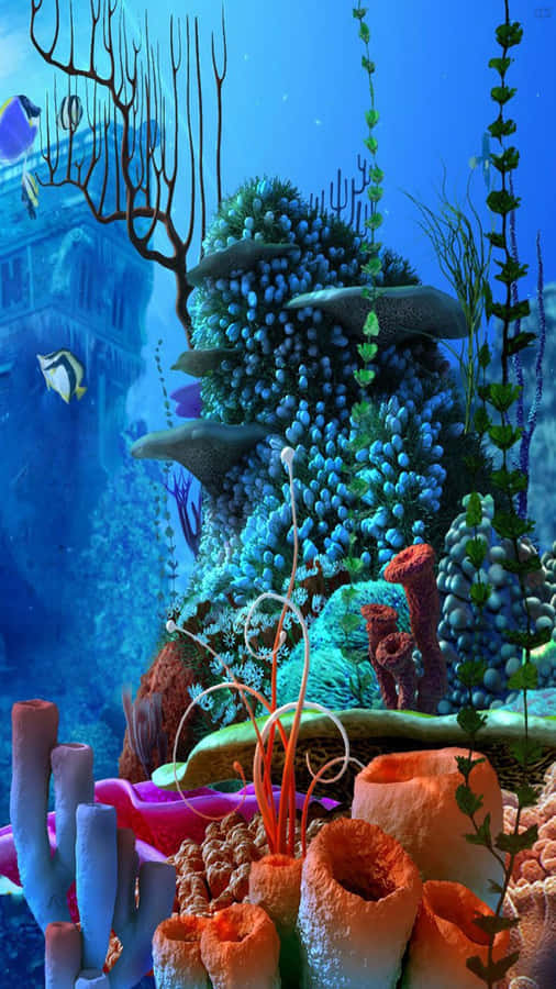 Plunge Into The World Of Color With Aquarium Iphone Wallpaper