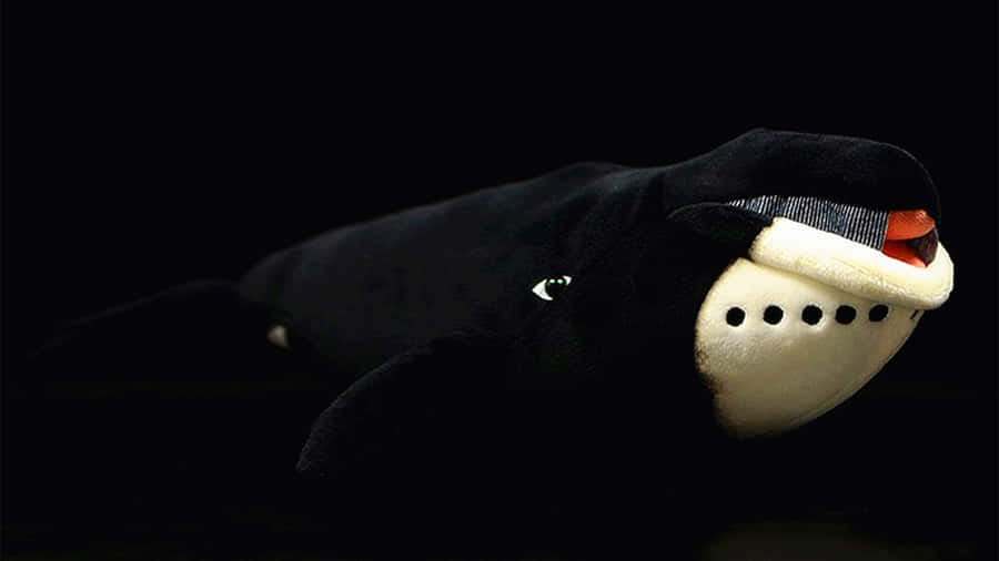 Plush Bowhead Whale Toy Wallpaper