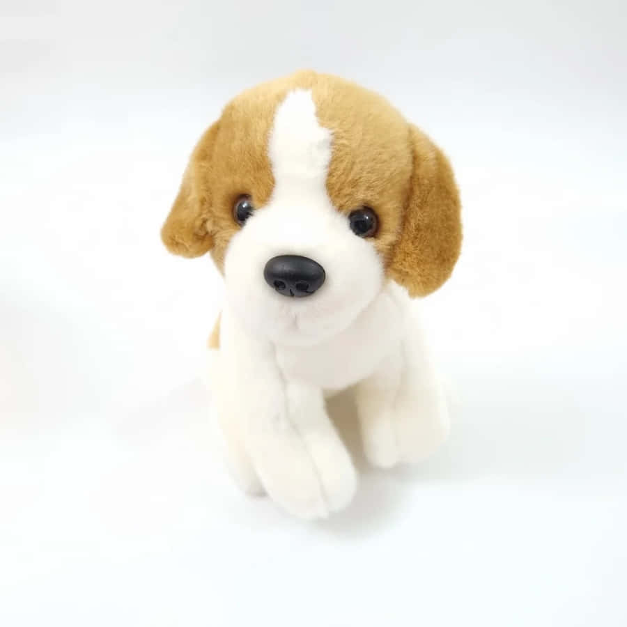 Plush Toy Dog White Background Wallpaper