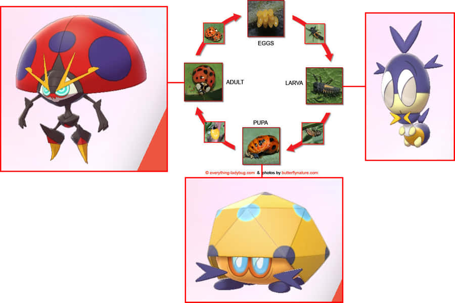 Pokémon Blipbug Bug Cycle Wallpaper