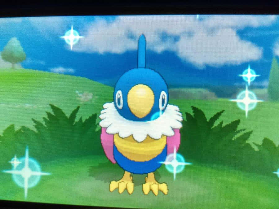 Pokémon Chatot In Grass Wallpaper