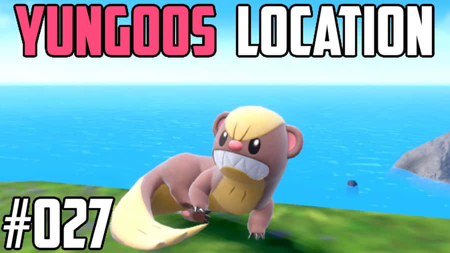 Pokémon Location Yungoos Wallpaper